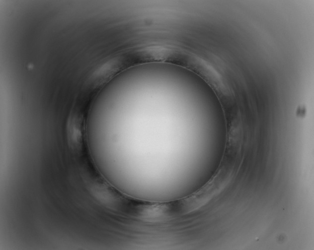 X0000103310122200808291438