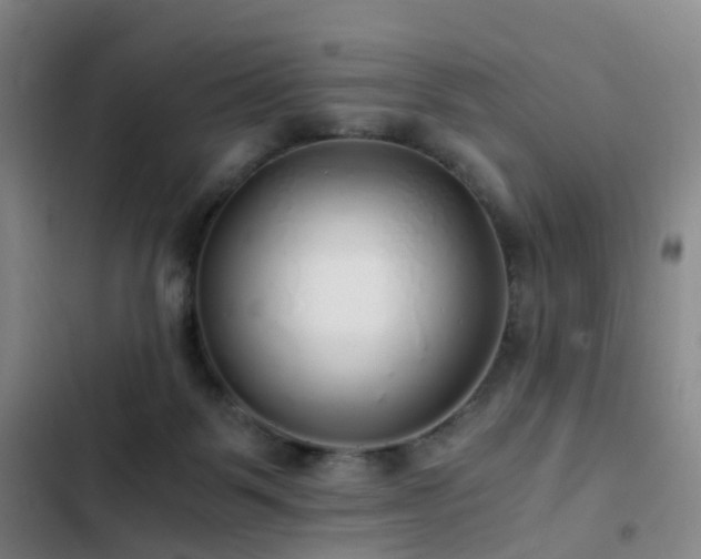 X0000103310123200808291438