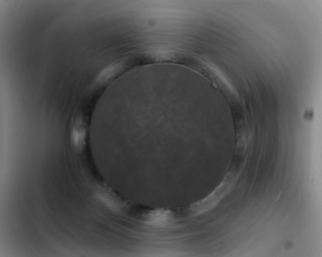 X0000103310124200808291438