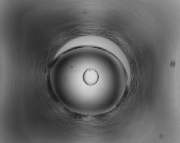 X0000103310125200808291438