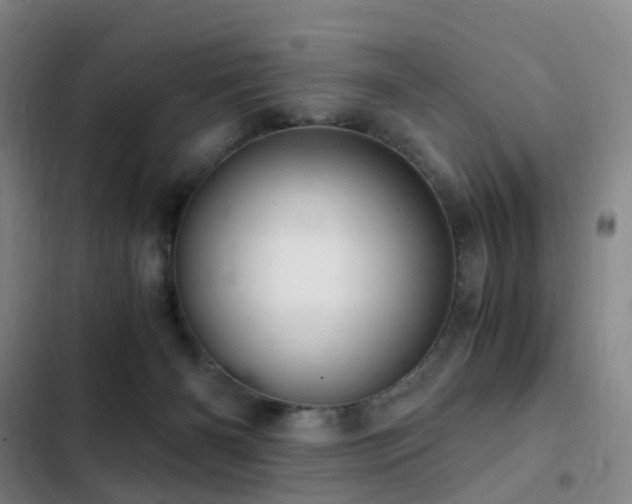 X0000103310126200808291437