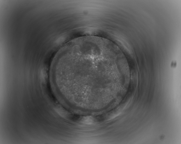 X0000103310127200808291437