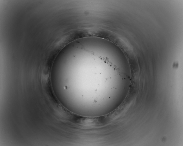 X0000103310129200808291437