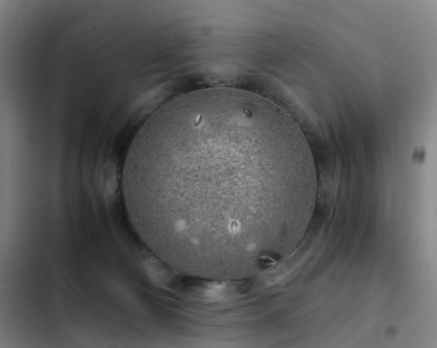 X0000103310130200808291437