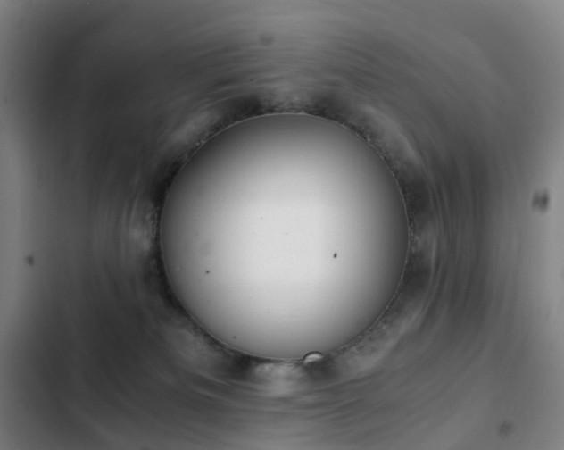 X0000103310133200808291437