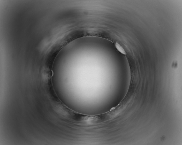 X0000103310135200808291437