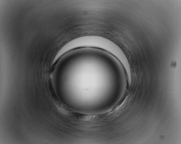 X0000103310136200808291437