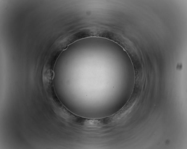 X0000103310137200808291437
