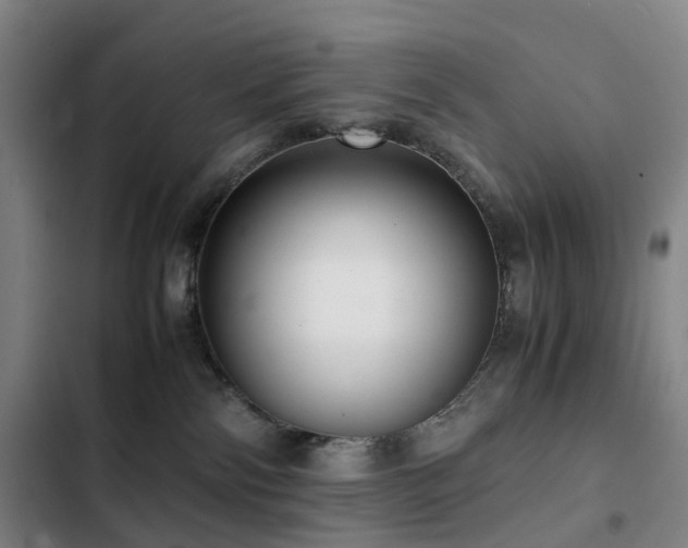 X0000103310138200808291437