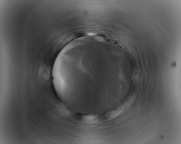 X0000103310139200808291437