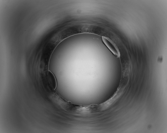X0000103310140200808291437