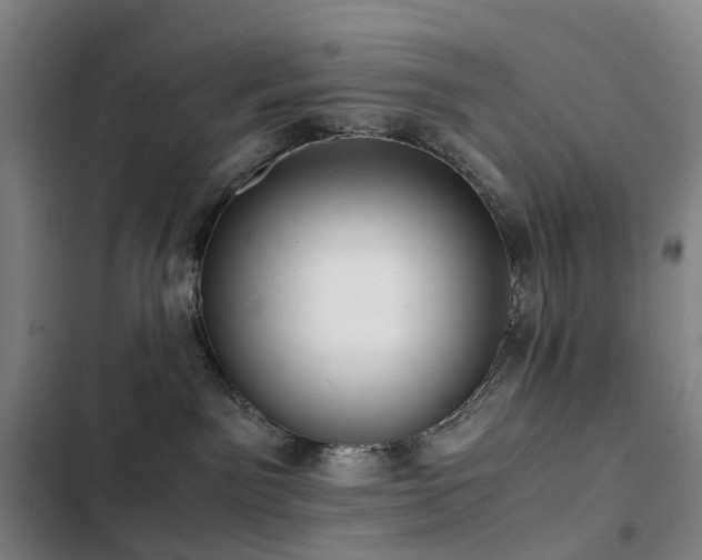 X0000103310141200808291437
