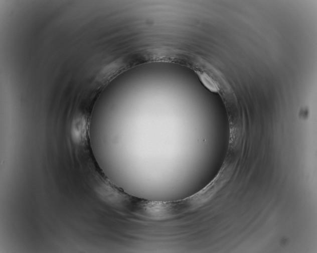X0000103310142200808291437