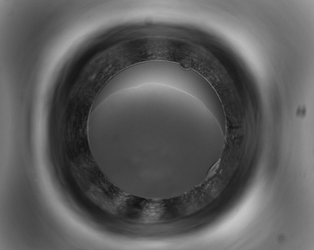 X0000103310143200808291437