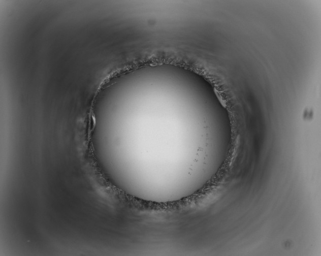 X0000103310144200808291437