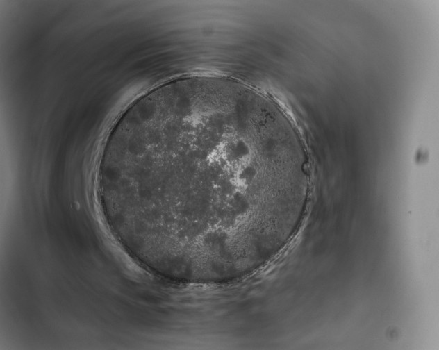 X0000103310145200808291437