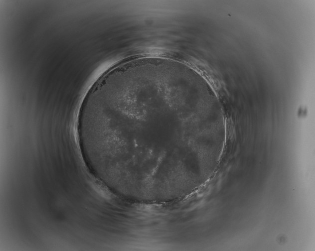 X0000103310147200808291437