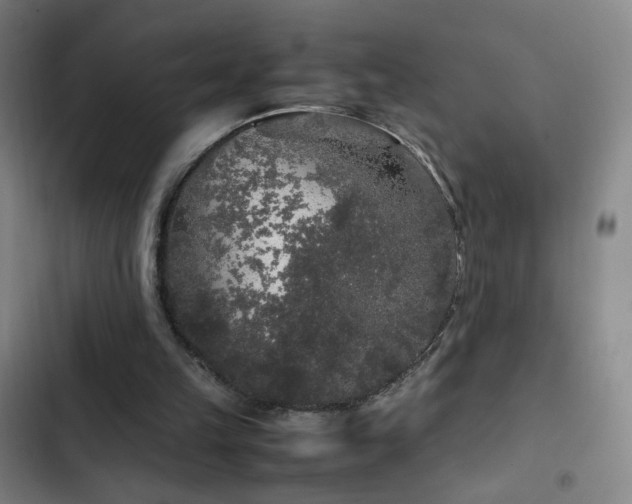 X0000103310149200808291437