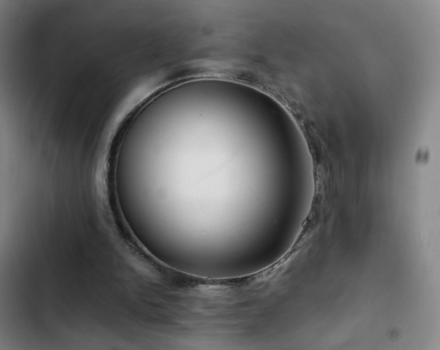 X0000103310150200808291437