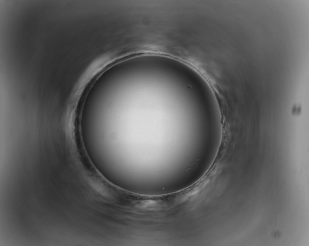 X0000103310151200808291437