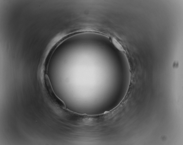 X0000103310152200808291437