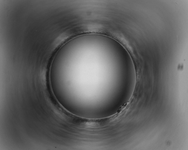 X0000103310154200808291437