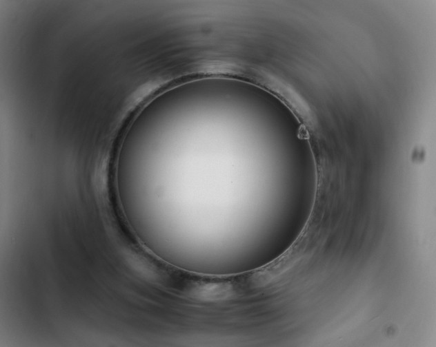 X0000103310155200808291437