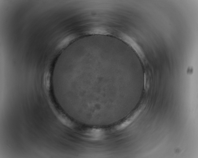X0000103310157200808291437