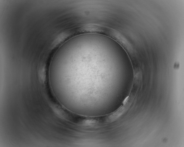 X0000103310158200808291437
