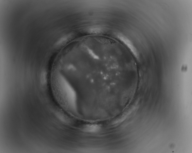 X0000103310161200808291437