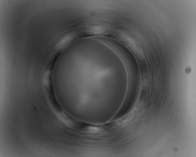X0000103310167200808291437