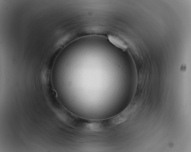 X0000103310168200808291437