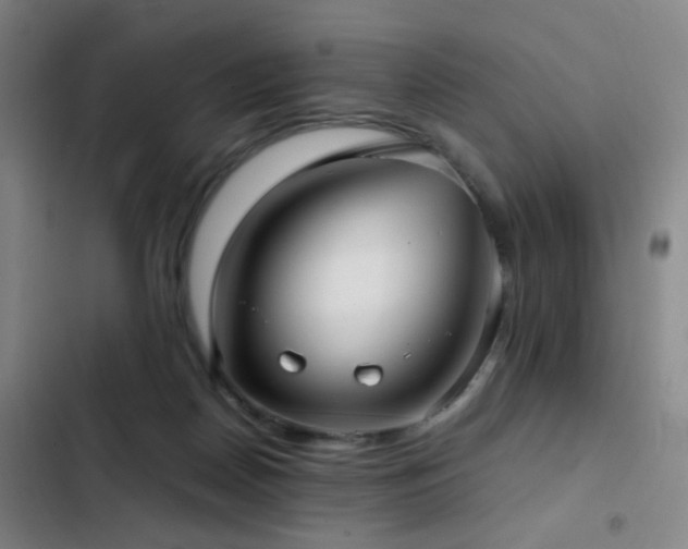 X0000103310170200808291437
