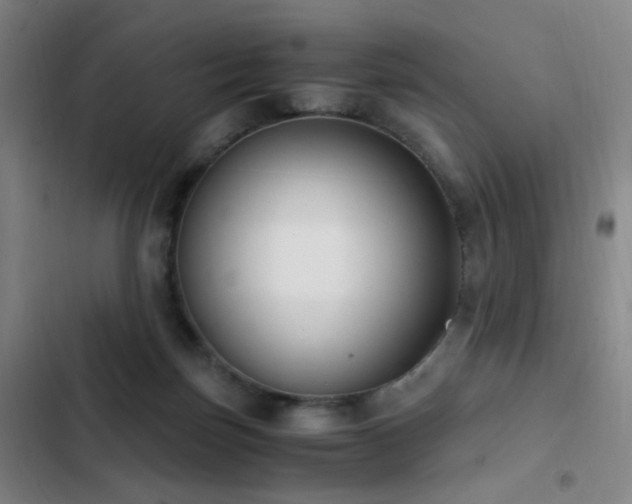 X0000103310171200808291437