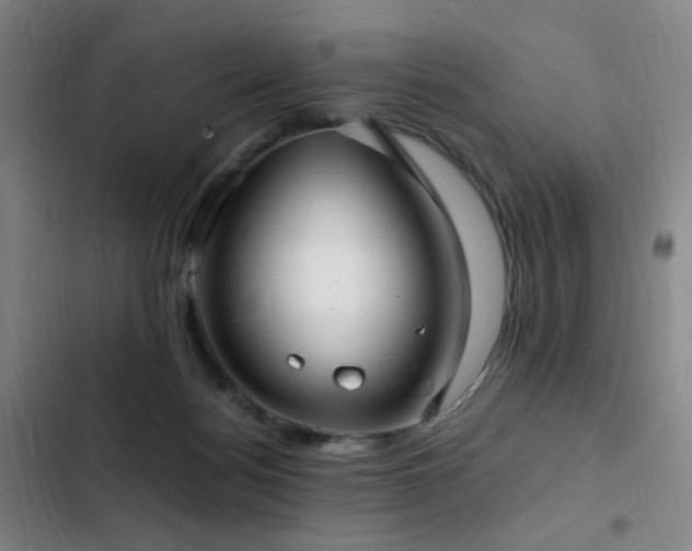 X0000103310172200808291437