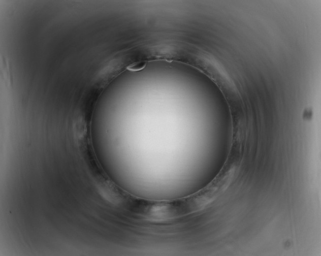 X0000103310173200808291437