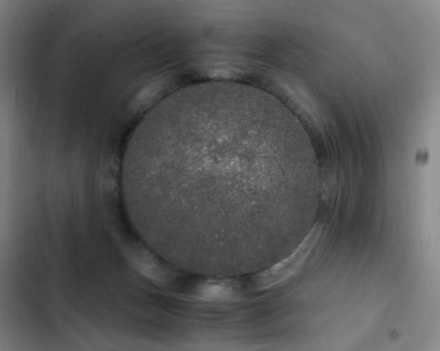 X0000103310175200808291437