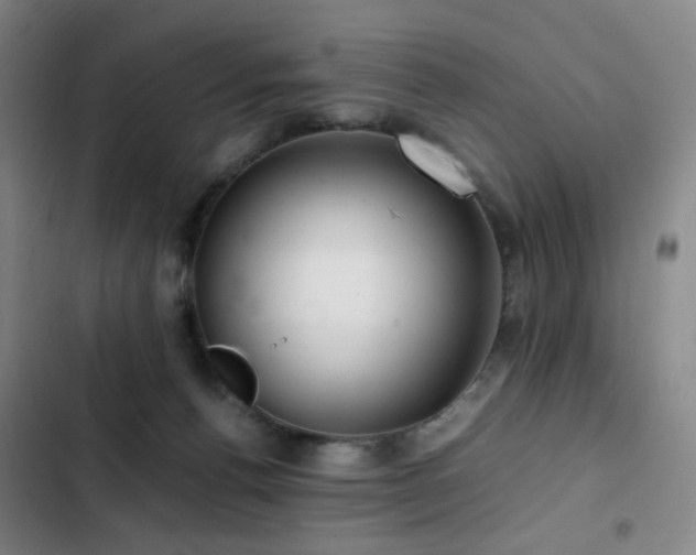 X0000103310176200808291437