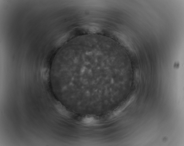 X0000103310177200808291437