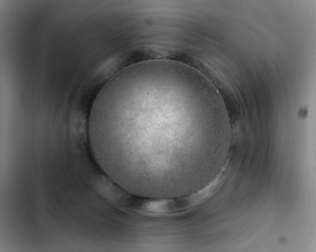 X0000103310178200808291437