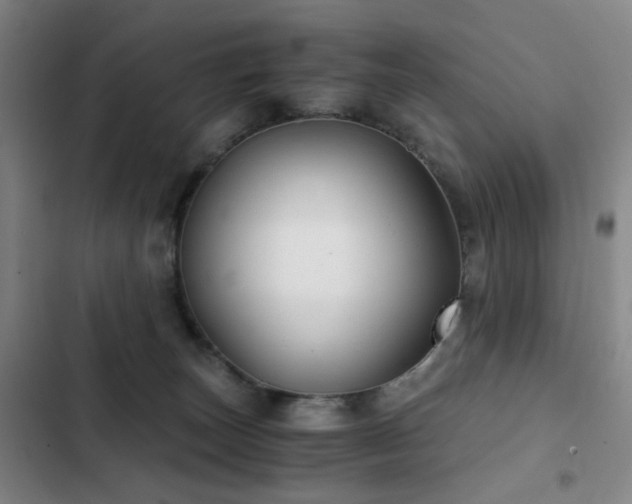 X0000103310179200808291437