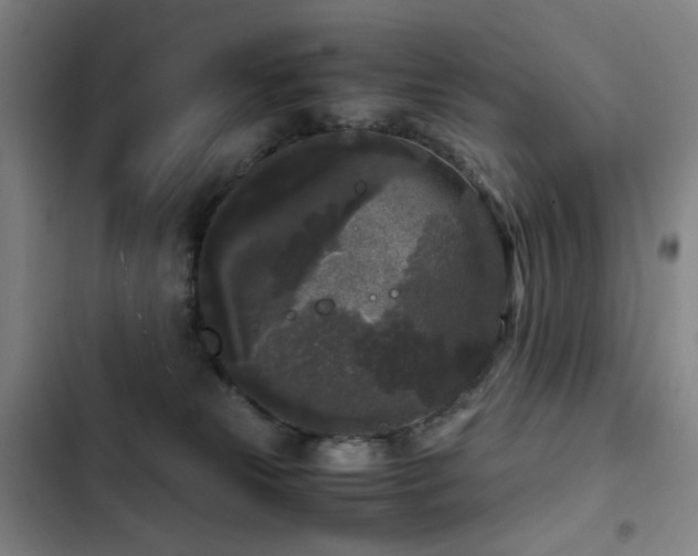 X0000103310181200808291437