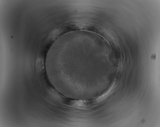 X0000103310182200808291437