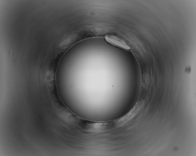 X0000103310184200808291437