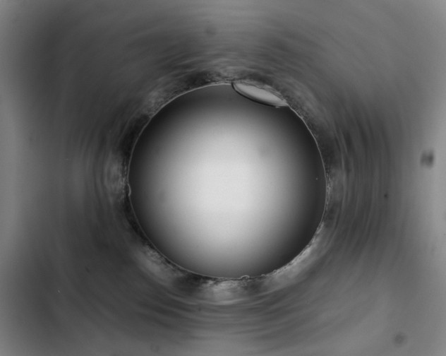 X0000103310186200808291437