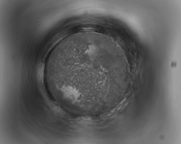 X0000103310194200808291437