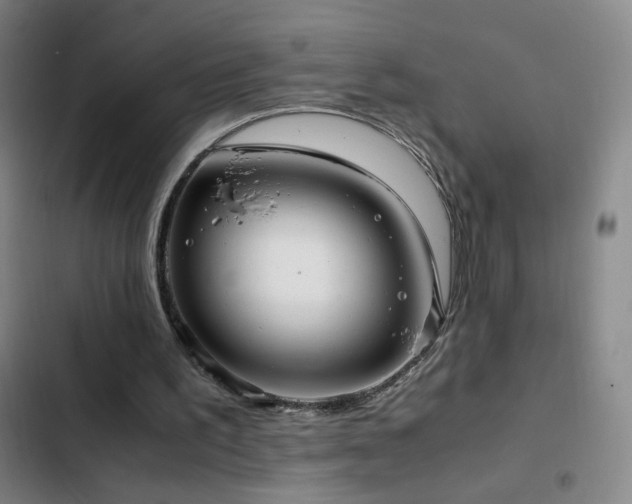X0000103310195200808291437