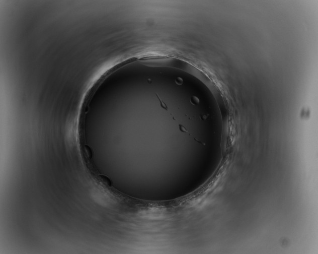 X0000103310196200808291437