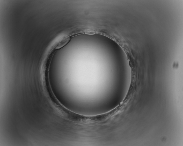 X0000103310197200808291437