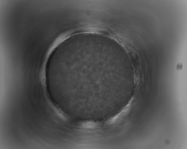 X0000103310198200808291437